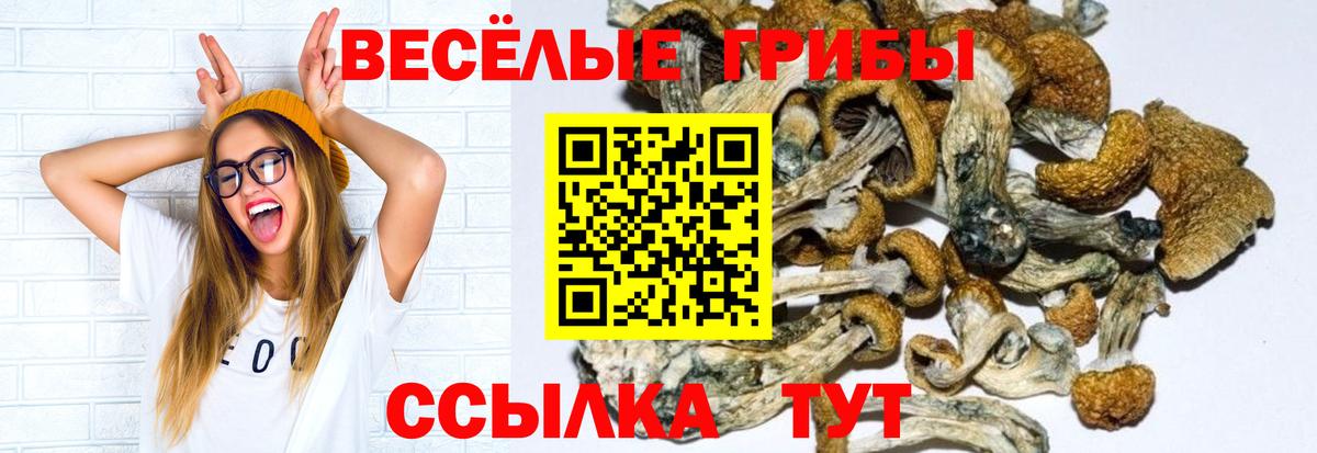 Туймазы  Галлюциногенные грибы мухоморы  Вход с VPN 